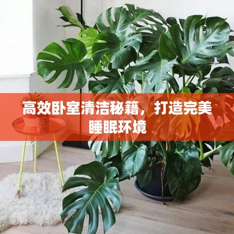 高效臥室清潔秘籍，打造完美睡眠環境