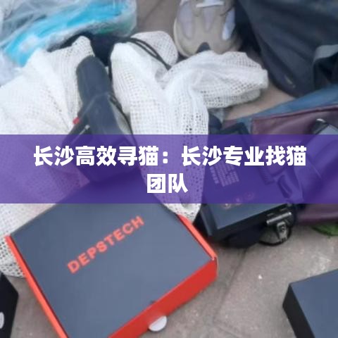 長沙高效尋貓：長沙專業(yè)找貓團隊 