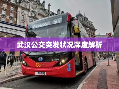 武漢公交突發(fā)狀況深度解析