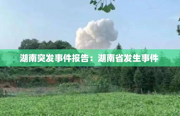 湖南突發事件報告：湖南省發生事件 