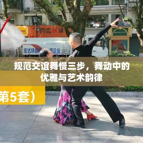 規范交誼舞慢三步，舞動中的優雅與藝術韻律