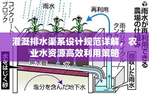 灌溉排水渠系設(shè)計(jì)規(guī)范詳解，農(nóng)業(yè)水資源高效利用策略