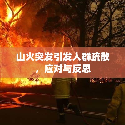 山火突發引發人群疏散，應對與反思