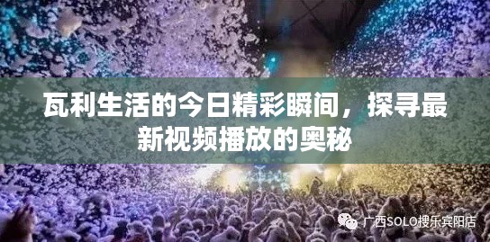 瓦利生活的今日精彩瞬間，探尋最新視頻播放的奧秘