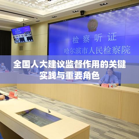 全國(guó)人大建議監(jiān)督作用的關(guān)鍵實(shí)踐與重要角色