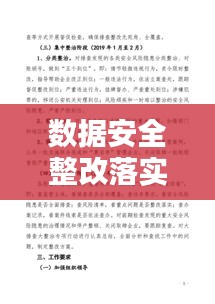 數(shù)據(jù)安全整改落實：數(shù)據(jù)安全風(fēng)險排查和問題整改專項行動報告 