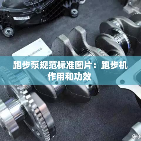 跑步泵規范標準圖片：跑步機作用和功效 