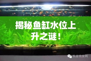 風雨同舟 第2頁
