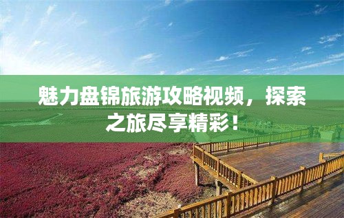 魅力盤(pán)錦旅游攻略視頻，探索之旅盡享精彩！
