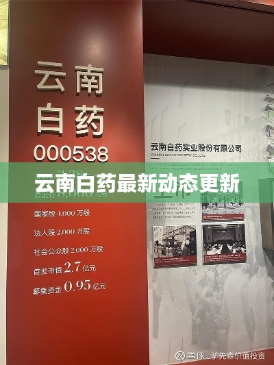 云南白藥最新動態更新