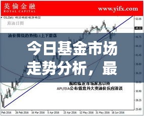 今日基金市場(chǎng)走勢(shì)分析，最新報(bào)價(jià)與投資建議全解析