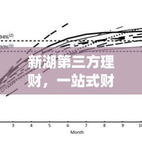 新湖第三方理財，一站式財富管理，打造您的理想投資新選擇！