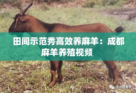 政企行業數字化軟件 第143頁