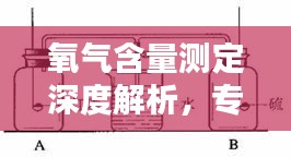 氧氣含量測定深度解析，專業(yè)方法與實用技巧