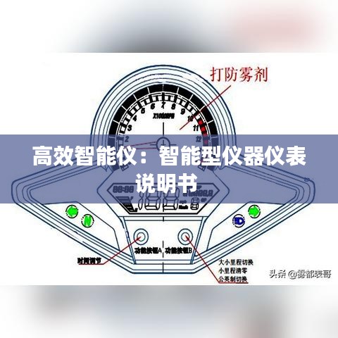 高效智能儀：智能型儀器儀表說(shuō)明書(shū) 