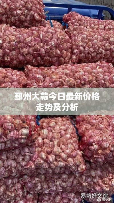 邳州大蒜今日最新價(jià)格走勢及分析