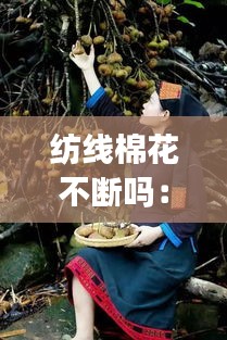 紡線棉花不斷嗎：紡織棉花 
