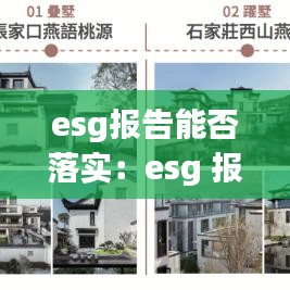 esg報告能否落實：esg 報告 