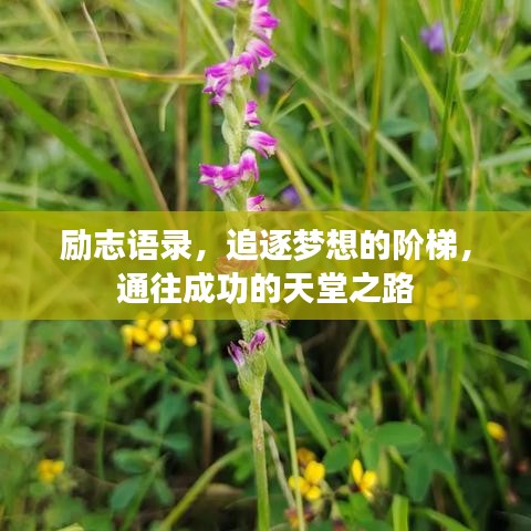 勵志語錄，追逐夢想的階梯，通往成功的天堂之路