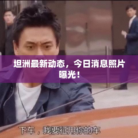 坦洲最新動態，今日消息照片曝光！