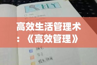 高效生活管理術(shù)：《高效管理》 