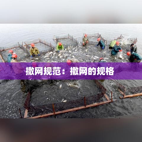 撒網(wǎng)規(guī)范：撒網(wǎng)的規(guī)格 