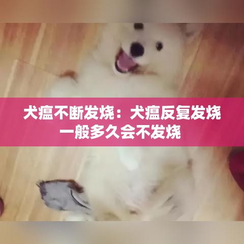 瑞雪飛舞 第2頁