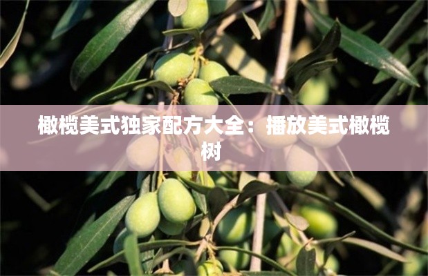 橄欖美式獨家配方大全：播放美式橄欖樹 