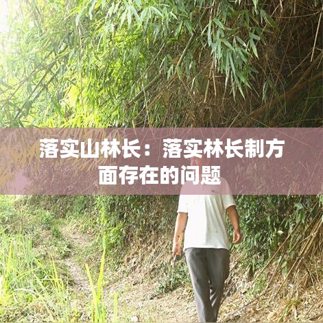 落實(shí)山林長(zhǎng)：落實(shí)林長(zhǎng)制方面存在的問(wèn)題 