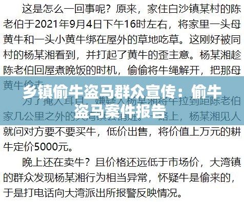 鄉鎮偷牛盜馬群眾宣傳：偷牛盜馬案件報告 