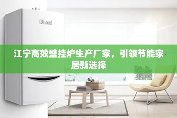 江寧高效壁掛爐生產(chǎn)廠家，引領(lǐng)節(jié)能家居新選擇