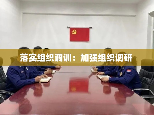 落實組織調(diào)訓(xùn)：加強(qiáng)組織調(diào)研 