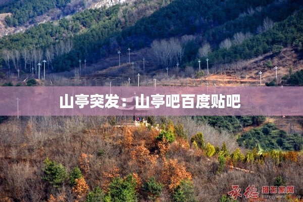 山亭突發(fā)：山亭吧百度貼吧 