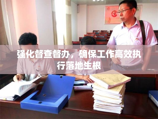 強化督查督辦，確保工作高效執(zhí)行落地生根