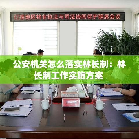 公安機(jī)關(guān)怎么落實(shí)林長制：林長制工作實(shí)施方案 