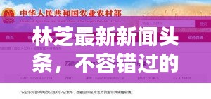 林芝最新新聞頭條，不容錯過的當地資訊速遞