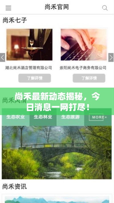 尚禾最新動態揭秘，今日消息一網打盡！