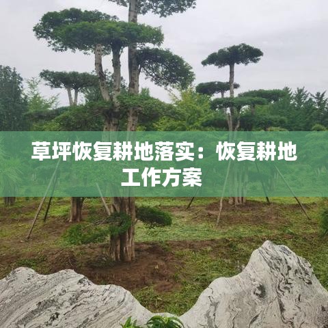 草坪恢復(fù)耕地落實(shí)：恢復(fù)耕地工作方案 