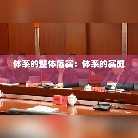 體系的整體落實(shí)：體系的實(shí)施 