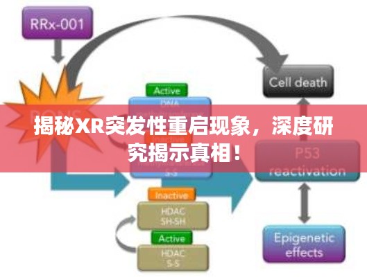 揭秘XR突發性重啟現象，深度研究揭示真相！
