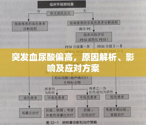 突發血尿酸偏高，原因解析、影響及應對方案