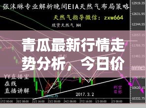 青瓜最新行情走勢分析，今日價格揭秘