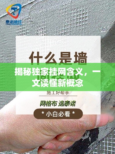 揭秘獨家掛網含義，一文讀懂新概念