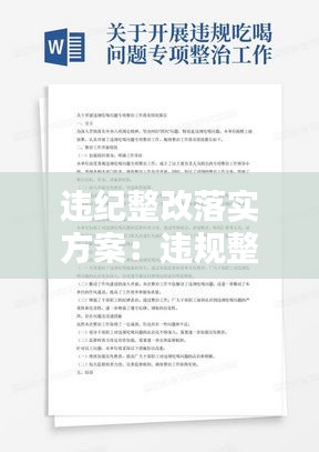 違紀(jì)整改落實(shí)方案：違規(guī)整改報(bào)告 