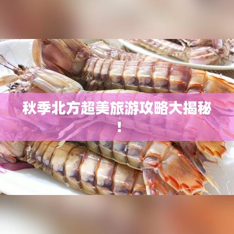 秋季北方超美旅游攻略大揭秘！