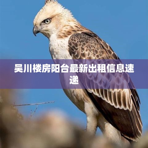 千里迢迢 第2頁