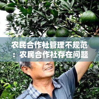 農(nóng)民合作社管理不規(guī)范：農(nóng)民合作社存在問題 