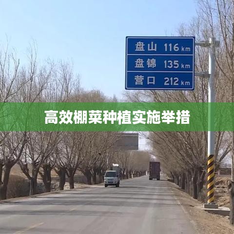 高效棚菜種植實(shí)施舉措