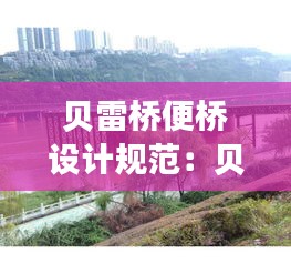 貝雷橋便橋設(shè)計規(guī)范：貝雷橋拆除施工方案 