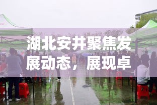 湖北安井聚焦發(fā)展動態(tài)，展現(xiàn)卓越企業(yè)風采，新聞頭條搶先看
